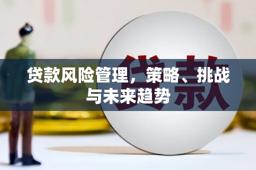 永靖贷款风险管理，策略、挑战与未来趋势