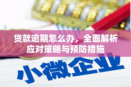 永靖贷款逾期怎么办，全面解析应对策略与预防措施
