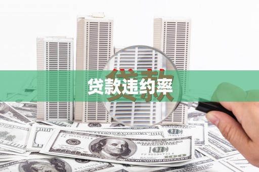 永靖贷款违约率