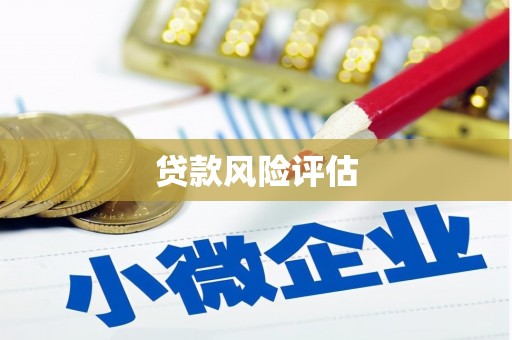 永靖贷款风险评估