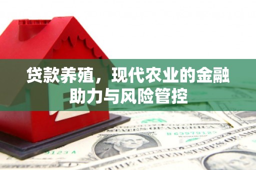 永靖贷款养殖，现代农业的金融助力与风险管控
