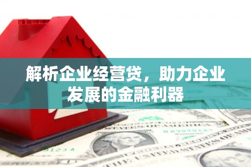 永靖解析企业经营贷，助力企业发展的金融利器