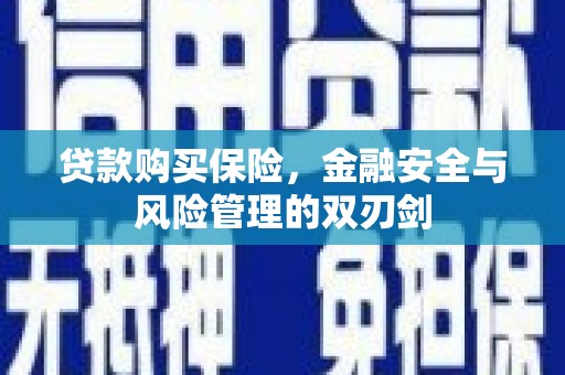 永靖贷款购买保险，金融安全与风险管理的双刃剑