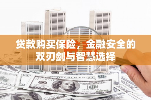 永靖贷款购买保险，金融安全的双刃剑与智慧选择