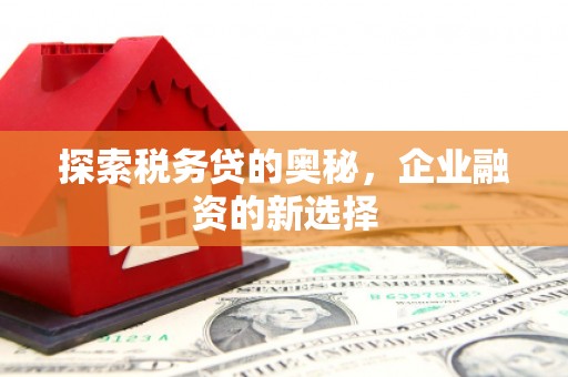 永靖探索税务贷的奥秘，企业融资的新选择
