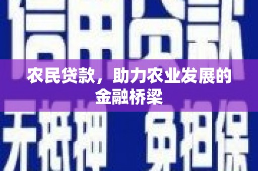 永靖农民贷款，助力农业发展的金融桥梁