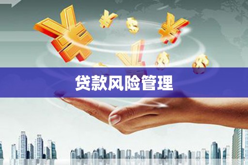 永靖贷款风险管理
