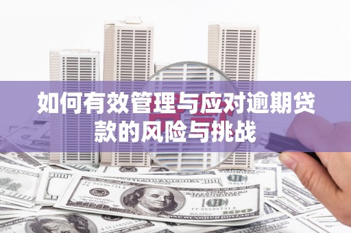 永靖如何有效管理与应对逾期贷款的风险与挑战
