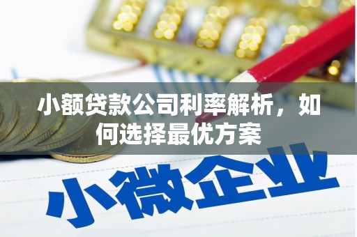 永靖小额贷款公司利率解析，如何选择最优方案
