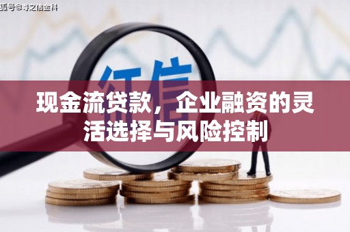 永靖现金流贷款，企业融资的灵活选择与风险控制