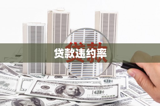 永靖贷款违约率