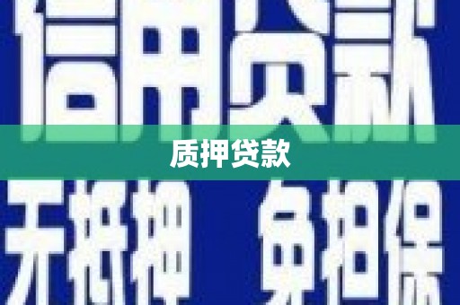 永靖质押贷款