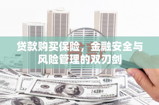 永靖贷款购买保险，金融安全与风险管理的双刃剑