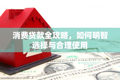 永靖消费贷款全攻略，如何明智选择与合理使用