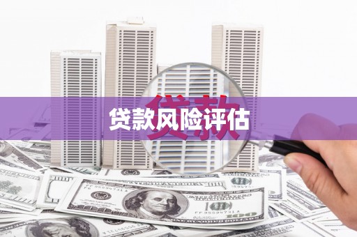 永靖贷款风险评估
