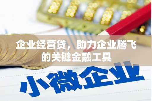 永靖企业经营贷，助力企业腾飞的关键金融工具