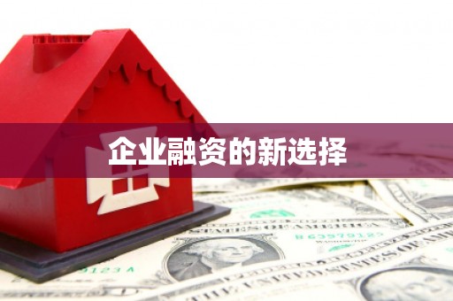 永靖企业融资的新选择