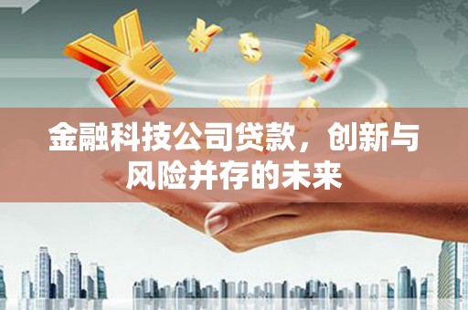 永靖金融科技公司贷款，创新与风险并存的未来