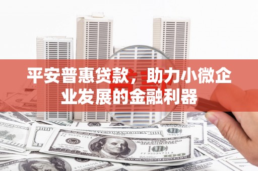 永靖平安普惠贷款，助力小微企业发展的金融利器