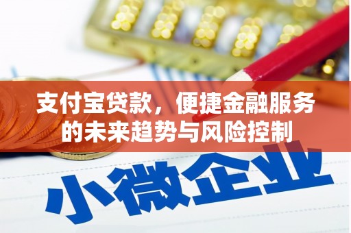 永靖支付宝贷款，便捷金融服务的未来趋势与风险控制