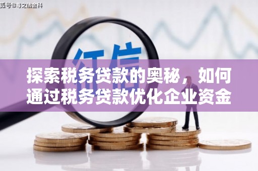 永靖探索税务贷款的奥秘，如何通过税务贷款优化企业资金流