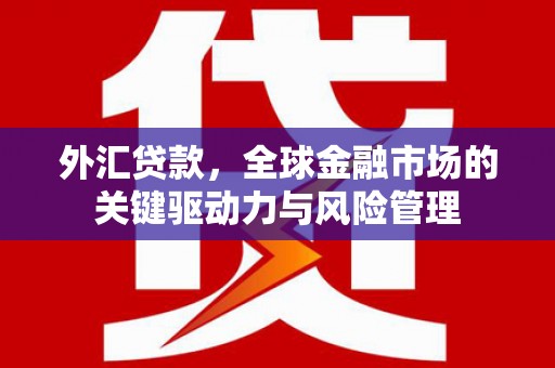 永靖外汇贷款，全球金融市场的关键驱动力与风险管理