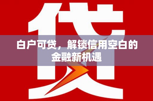 永靖白户可贷，解锁信用空白的金融新机遇