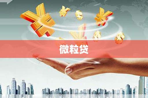 永靖微粒贷