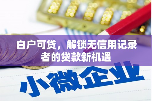 永靖白户可贷，解锁无信用记录者的贷款新机遇