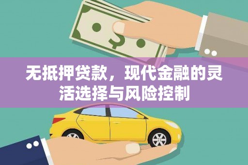 永靖无抵押贷款，现代金融的灵活选择与风险控制