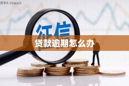 永靖贷款逾期怎么办