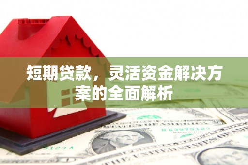 永靖短期贷款，灵活资金解决方案的全面解析