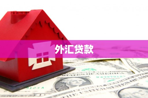 永靖外汇贷款
