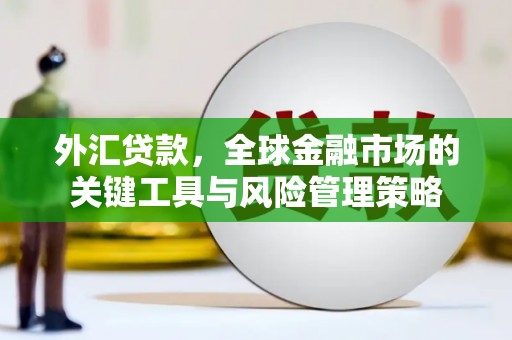 永靖外汇贷款，全球金融市场的关键工具与风险管理策略