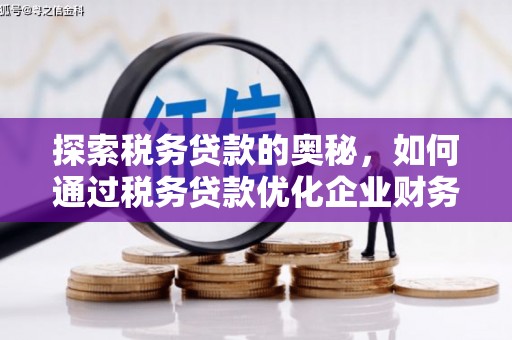 永靖探索税务贷款的奥秘，如何通过税务贷款优化企业财务