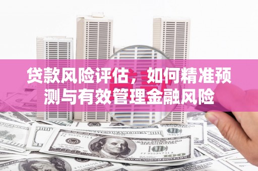 永靖贷款风险评估，如何精准预测与有效管理金融风险