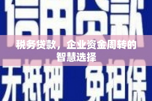 永靖税务贷款，企业资金周转的智慧选择