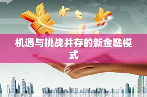 永靖机遇与挑战并存的新金融模式