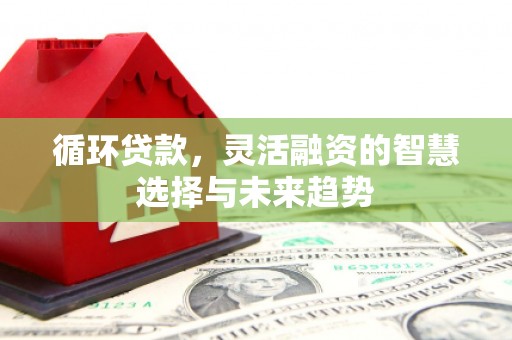 永靖循环贷款，灵活融资的智慧选择与未来趋势
