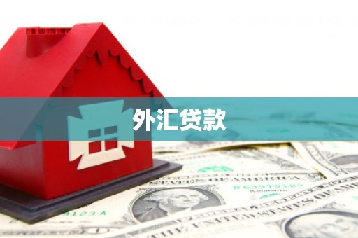 永靖外汇贷款