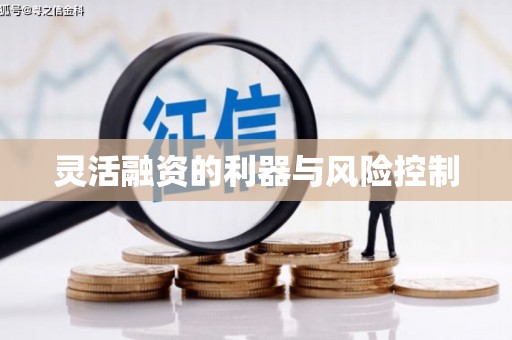 永靖灵活融资的利器与风险控制