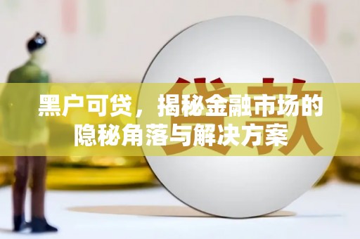 永靖黑户可贷，揭秘金融市场的隐秘角落与解决方案