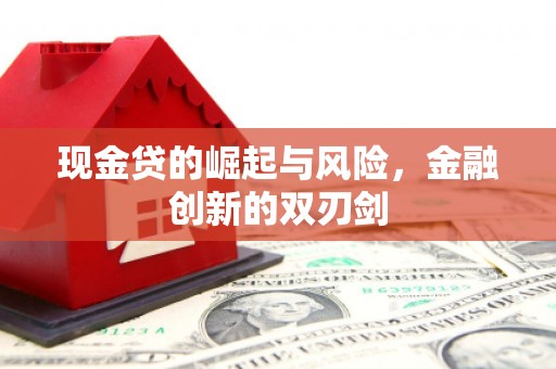 永靖现金贷的崛起与风险，金融创新的双刃剑