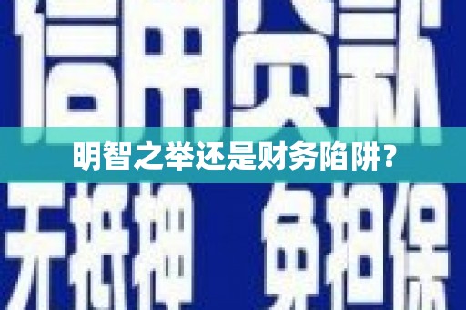 永靖明智之举还是财务陷阱？