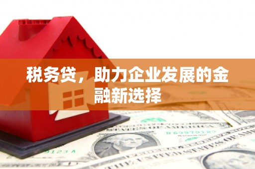 永靖税务贷，助力企业发展的金融新选择