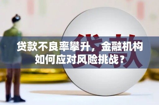永靖贷款不良率攀升，金融机构如何应对风险挑战？
