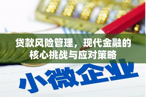 永靖贷款风险管理，现代金融的核心挑战与应对策略