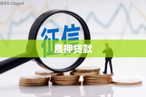 永靖质押贷款