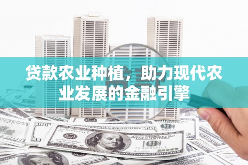 永靖贷款农业种植，助力现代农业发展的金融引擎
