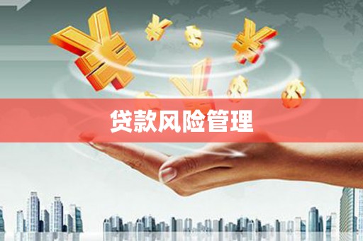 永靖贷款风险管理